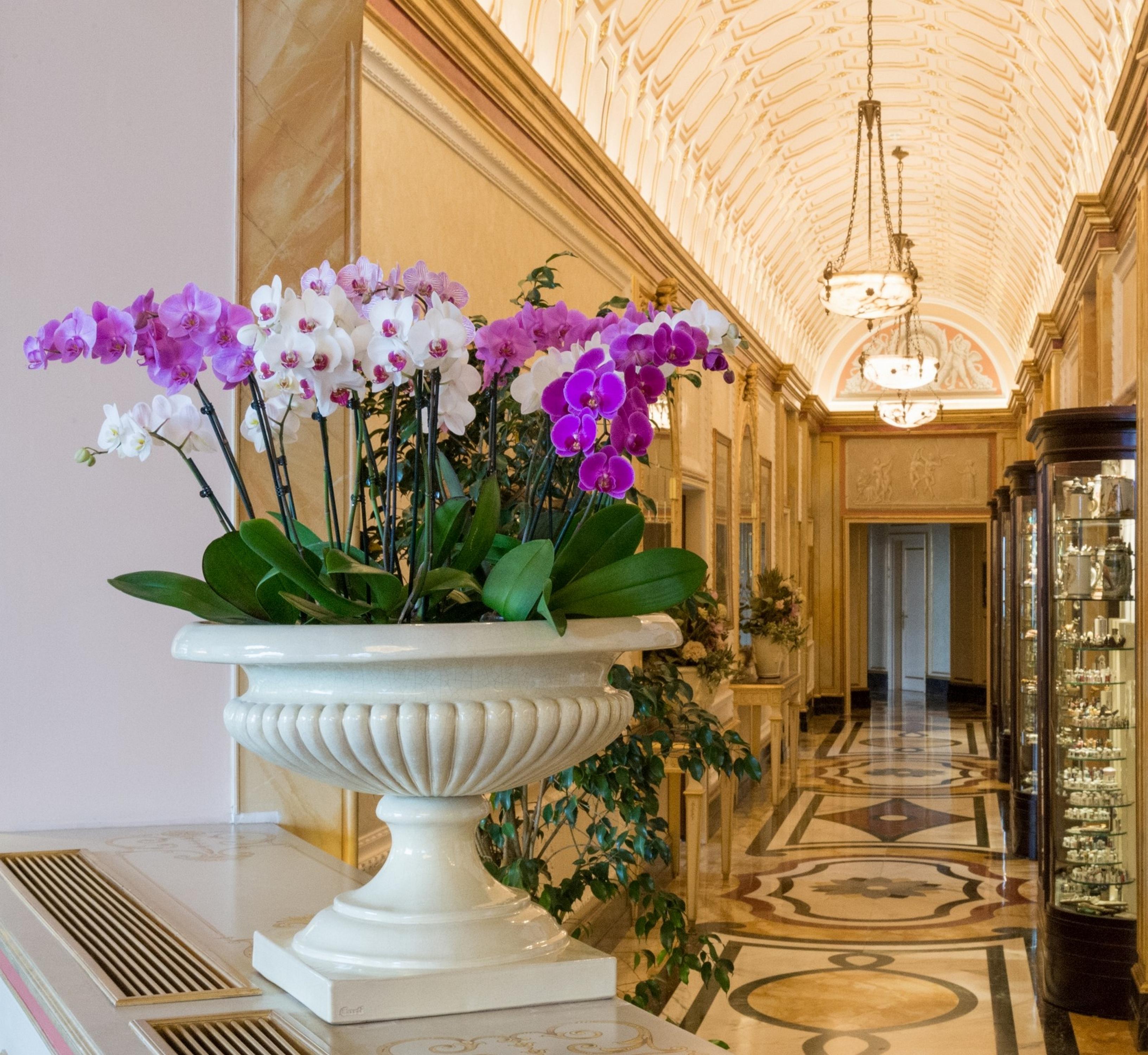 Hotel Regina Palace Stresa Esterno foto